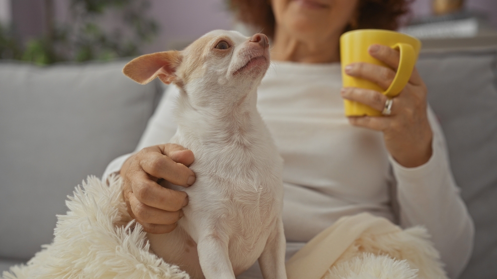 ARC Joints in Winter